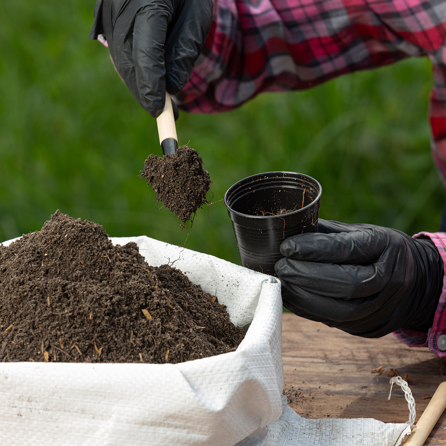 closeup-picture-gardener-s-hands-planting-plant 1