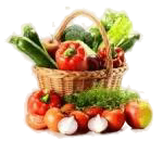 freepik_br_d222a6bf-7863-4379-8471-87084ddab0cf